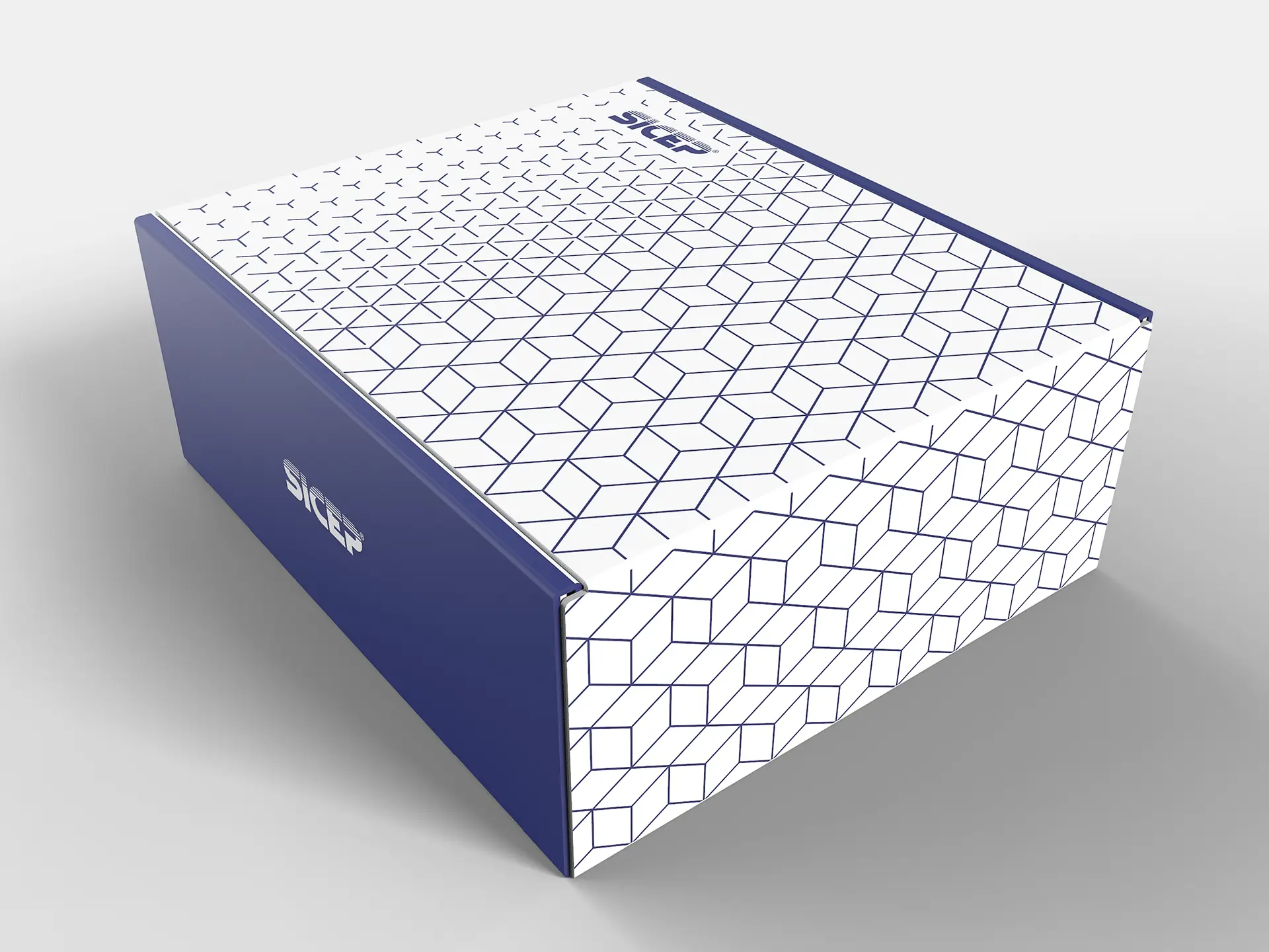 un-real-biffi-gentili-zampolini_sicep-packaging-design-pattern_4