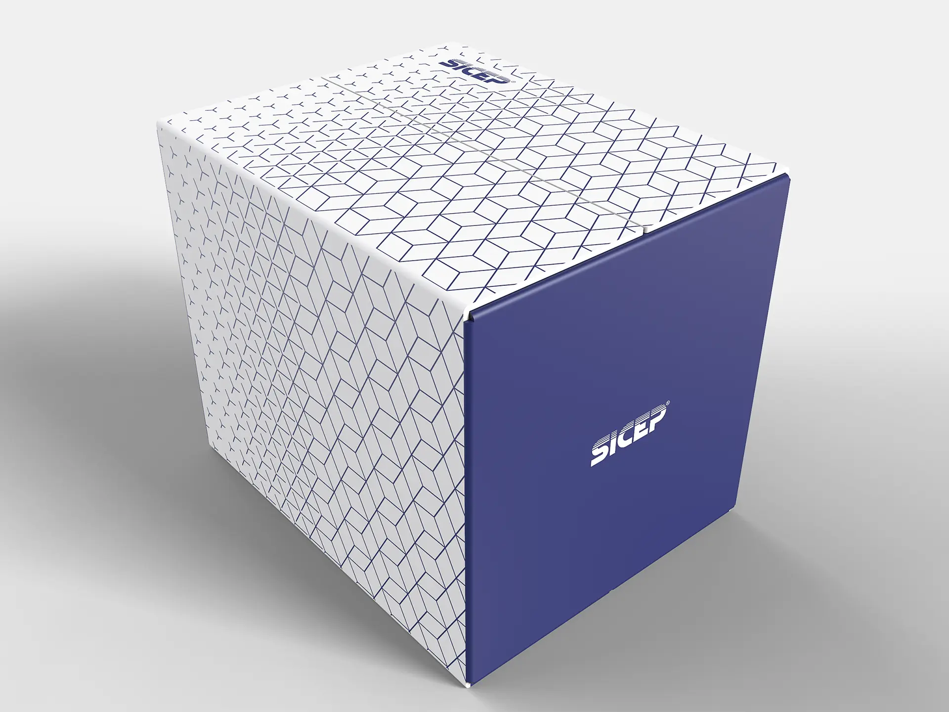 un-real-biffi-gentili-zampolini_sicep-packaging-design-pattern_5